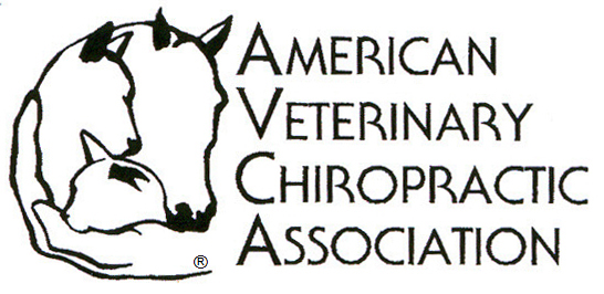 American Veterinary Chiropractic Association AVCA