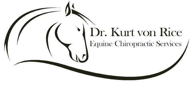 Equine Chiropractor Horse Chiropractic Dr von Rice 85032